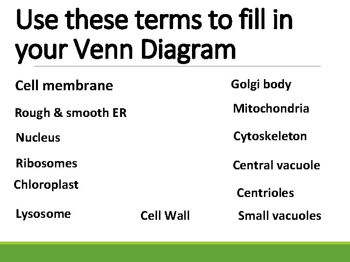 Use these terms to fill in your Venn Diagram Cell membrane Golgi body Rough