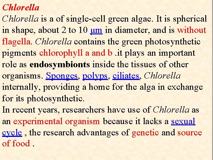 Chlorella is a of single-cell green algae. It is spherical in shape, about 2