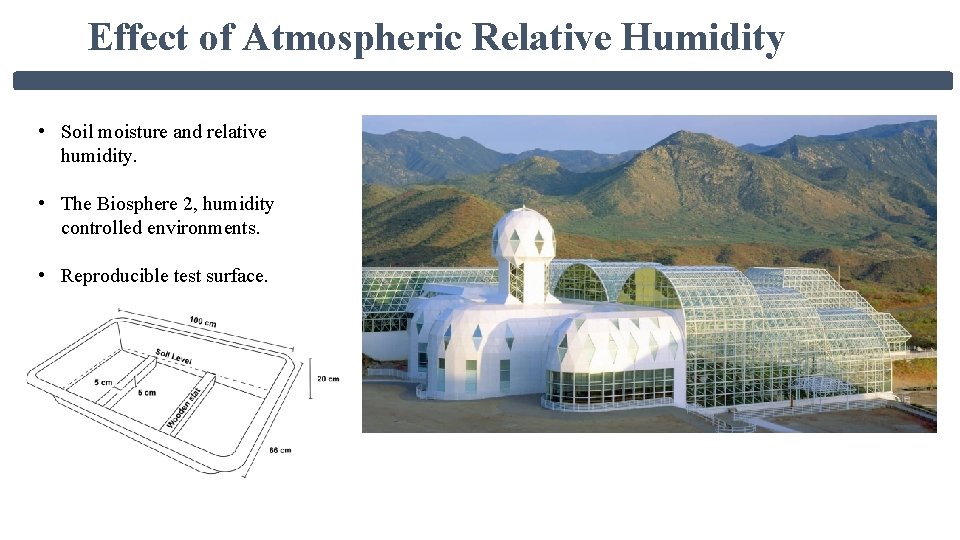 Effect of Atmospheric Relative Humidity • Soil moisture and relative humidity. • The Biosphere