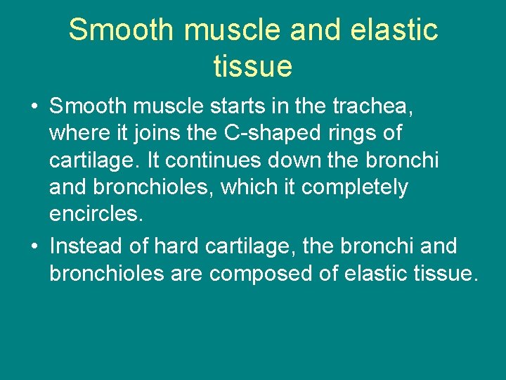 Smooth muscle and elastic tissue • Smooth muscle starts in the trachea, where it