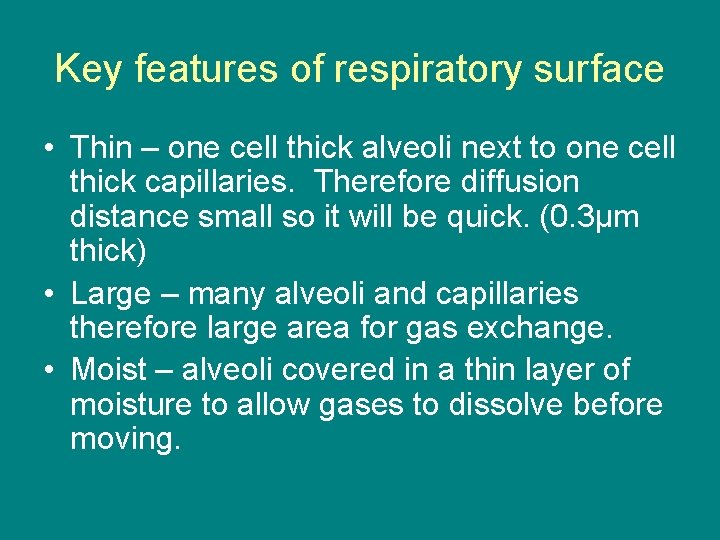 Key features of respiratory surface • Thin – one cell thick alveoli next to