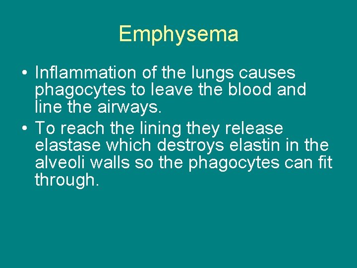 Emphysema • Inflammation of the lungs causes phagocytes to leave the blood and line