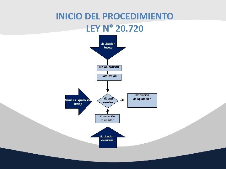 INICIO DEL PROCEDIMIENTO LEY N° 20. 720 Liquidación forzosa Juicio Oposición Nominación Causales Liquidación