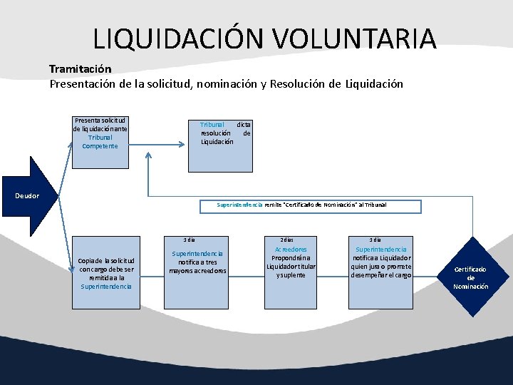 LIQUIDACIÓN VOLUNTARIA Tramitación Presentación de la solicitud, nominación y Resolución de Liquidación Presenta solicitud