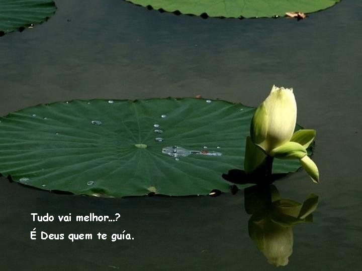 Tudo vai melhor…? É Deus quem te guía. 