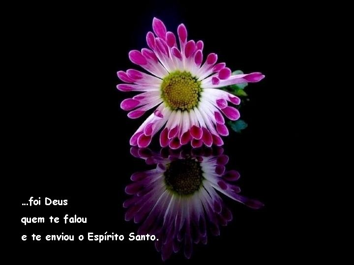 …foi Deus quem te falou e te enviou o Espírito Santo. 
