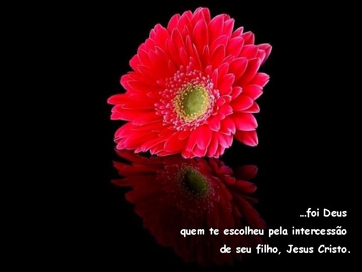 …foi Deus quem te escolheu pela intercessão de seu filho, Jesus Cristo. 