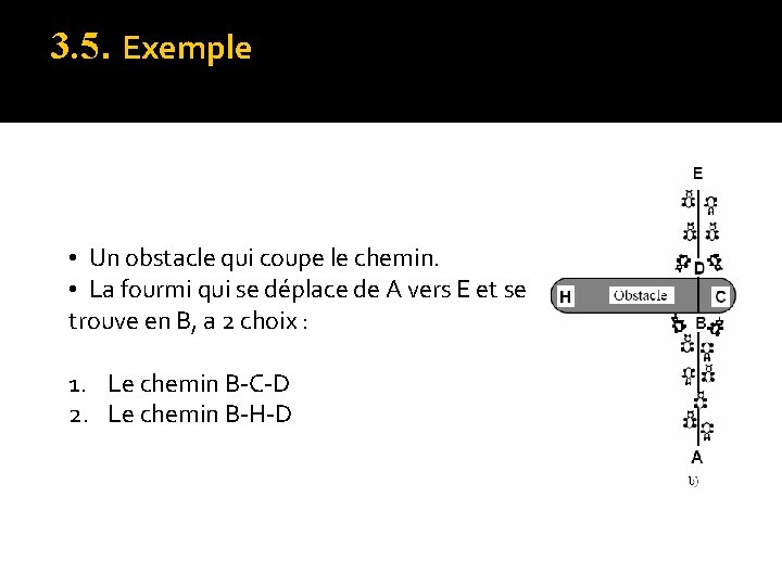 3. 5. Exemple • Un obstacle qui coupe le chemin. • La fourmi qui