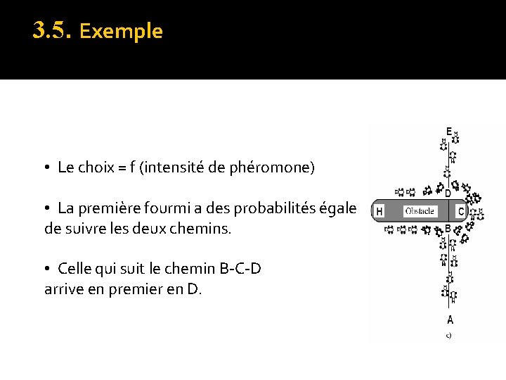 3. 5. Exemple • Le choix = f (intensité de phéromone) • La première