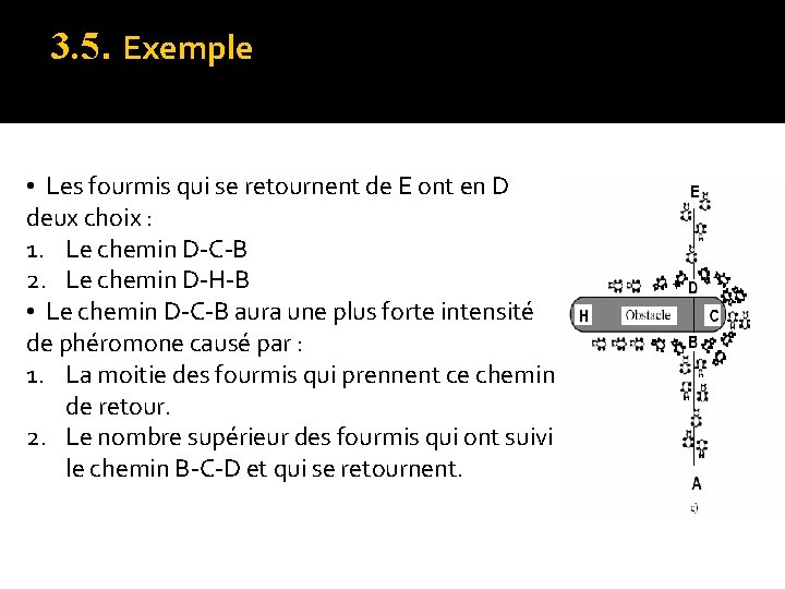 3. 5. Exemple • Les fourmis qui se retournent de E ont en D