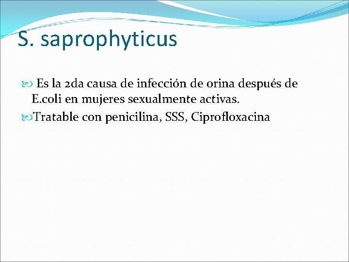 S. saprophyticus Es la 2 da causa de infección de orina después de E. S. saprophyticus Es la 2 da causa de infección de orina después de E.