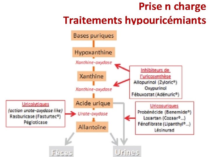 Prise n charge Traitements hypouricémiants Prise n charge Traitements hypouricémiants