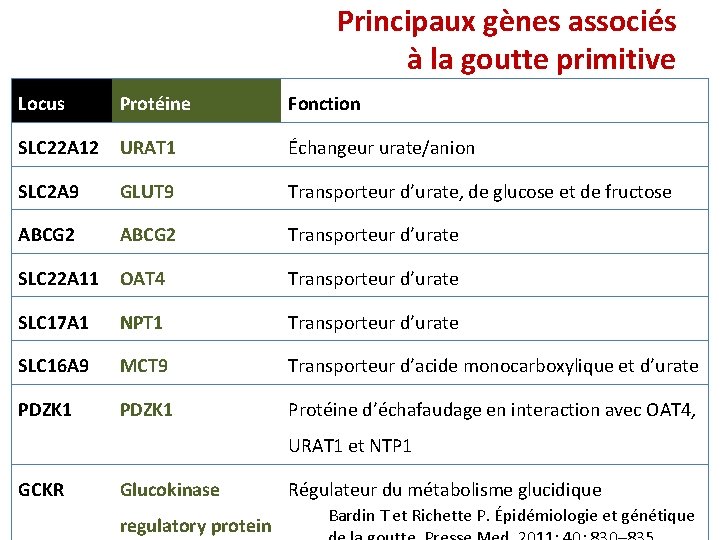 Principaux gènes associés à la goutte primitive Locus Protéine Fonction SLC 22 A 12 Principaux gènes associés à la goutte primitive Locus Protéine Fonction SLC 22 A 12