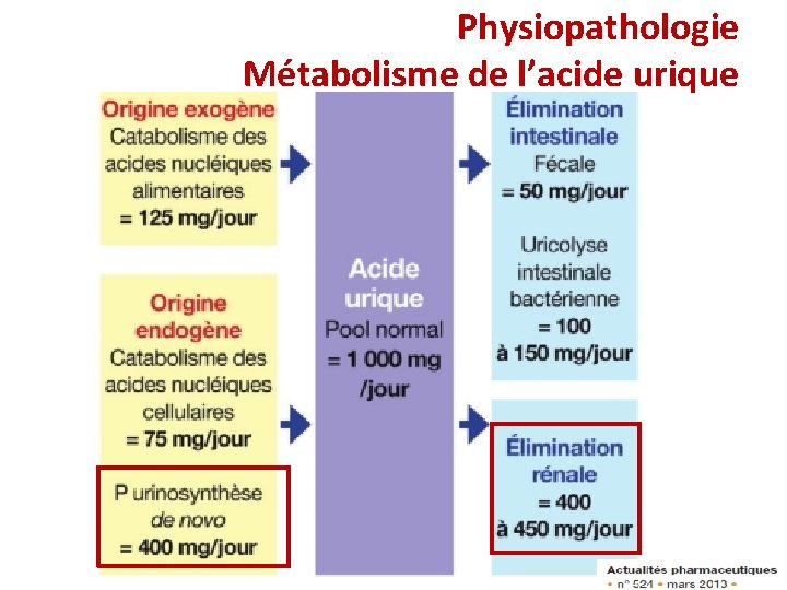 Physiopathologie Métabolisme de l’acide urique Physiopathologie Métabolisme de l’acide urique