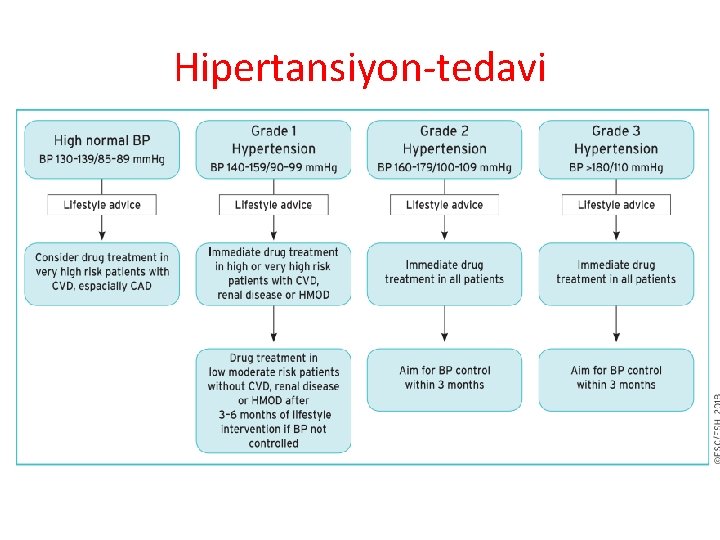 Hipertansiyon-tedavi 