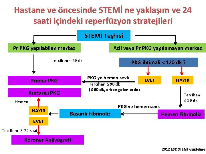 Hastane ve öncesinde STEMİ ne yaklaşım ve 24 saati içindeki reperfüzyon stratejileri STEMİ Teşhisi