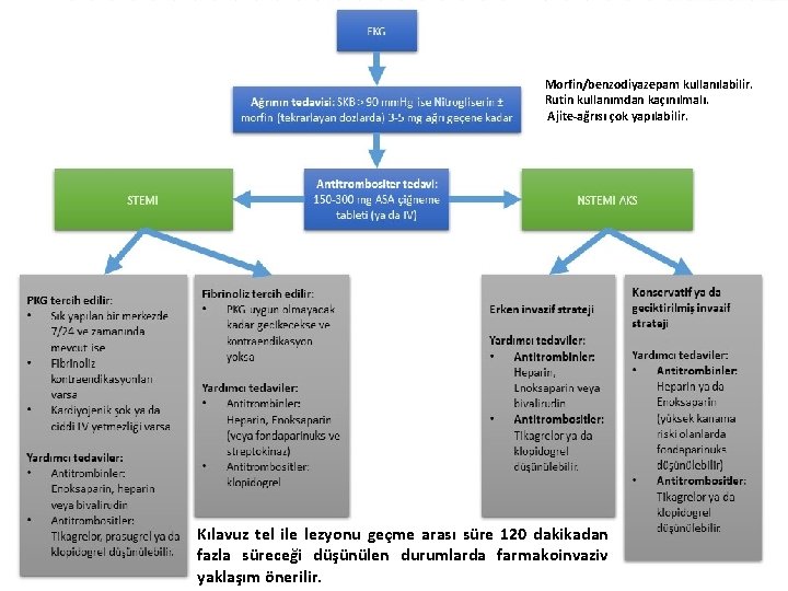 Morfin/benzodiyazepam kullanılabilir. Rutin kullanımdan kaçınılmalı. Ajite-ağrısı çok yapılabilir. Kılavuz tel ile lezyonu geçme arası