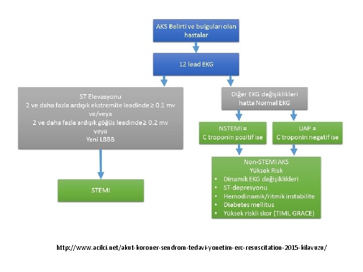 http: //www. acilci. net/akut-koroner-sendrom-tedavi-yonetim-erc-resuscitation-2015 -kilavuzu/ 