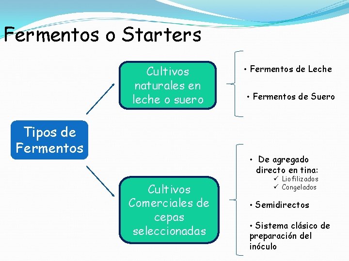 Fermentos o Starters Cultivos naturales en leche o suero Tipos de Fermentos • Fermentos