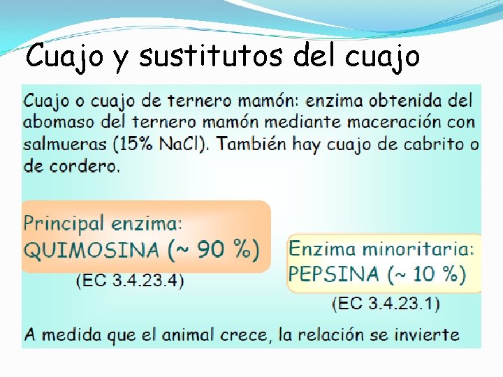 Cuajo y sustitutos del cuajo 