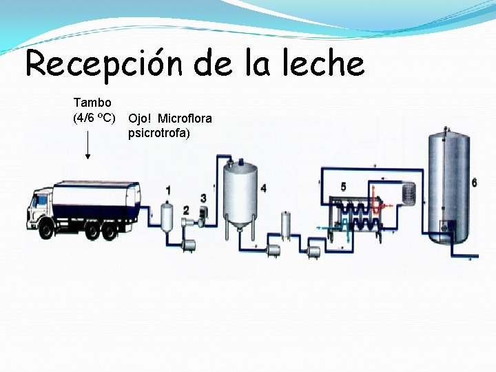 Recepción de la leche Tambo (4/6 ºC) Ojo! Microflora psicrotrofa) 