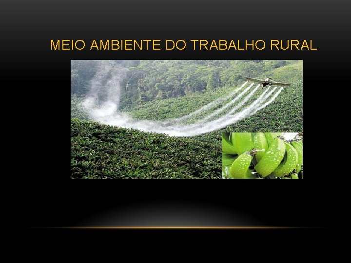 MEIO AMBIENTE DO TRABALHO RURAL 