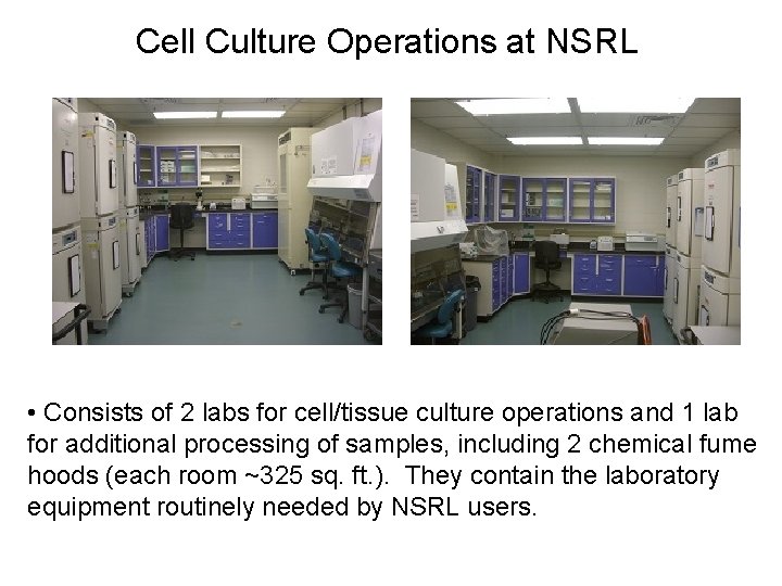 Cell Culture Operations at NSRL • Consists of 2 labs for cell/tissue culture operations