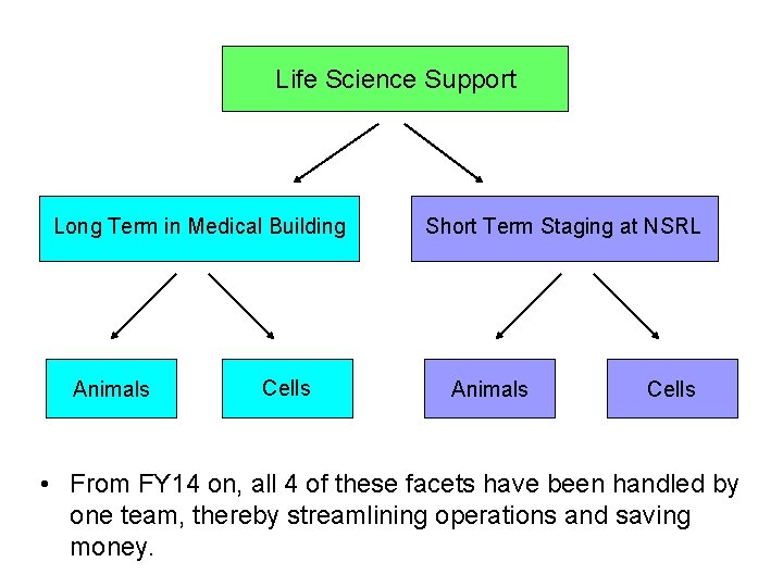 Life Science Support Long Term in Medical Building Animals Cells Short Term Staging at