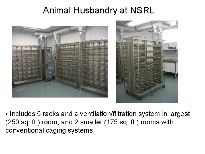 Animal Husbandry at NSRL • Includes 5 racks and a ventilation/filtration system in largest