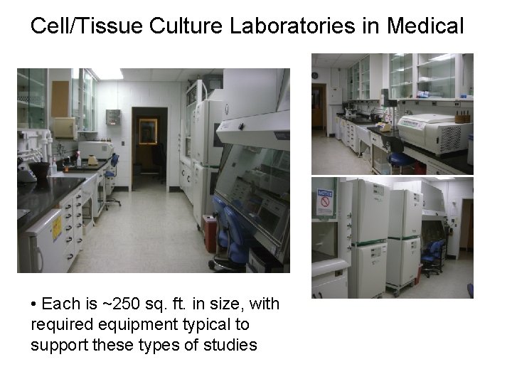 Cell/Tissue Culture Laboratories in Medical • Each is ~250 sq. ft. in size, with