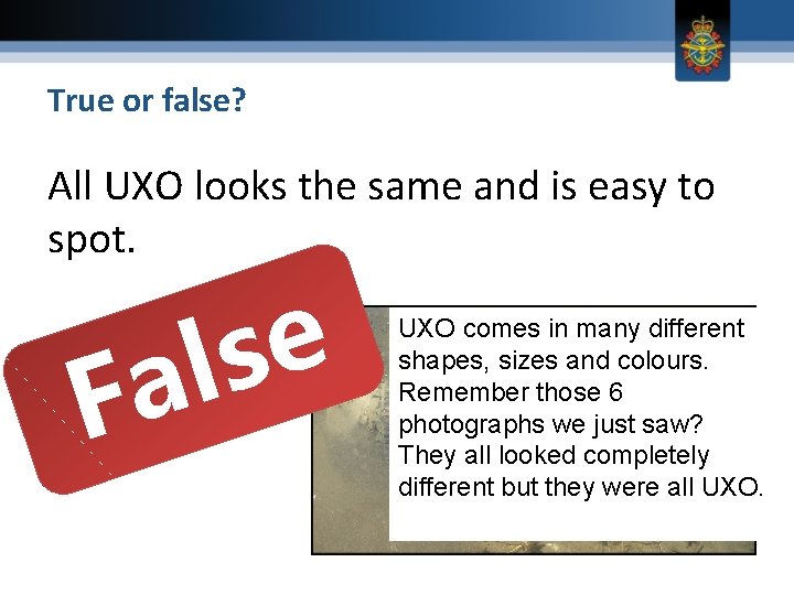 True or false? All UXO looks the same and is easy to spot. F