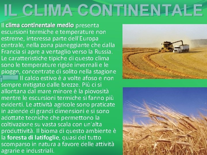 IL CLIMA CONTINENTALE Il clima continentale medio presenta escursioni termiche e temperature non estreme,