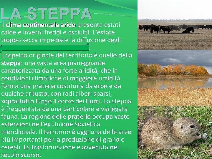 LA STEPPA Il clima continentale arido presenta estati calde e inverni freddi e asciutti.