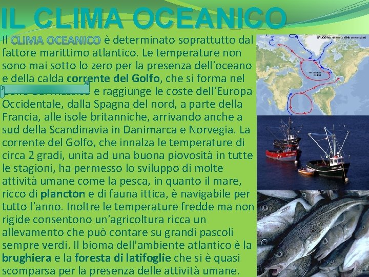 IL CLIMA OCEANICO Il è determinato soprattutto dal fattore marittimo atlantico. Le temperature non