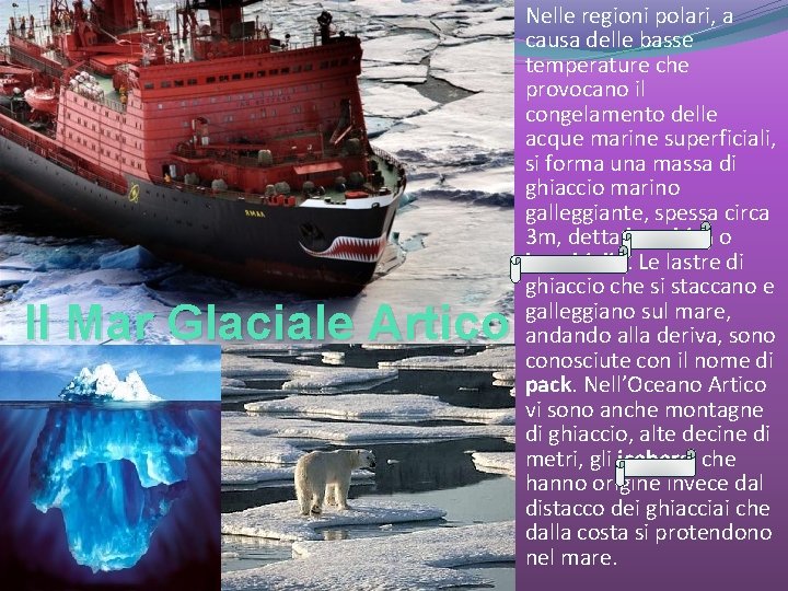 Il Mar Glaciale Artico Nelle regioni polari, a causa delle basse temperature che provocano