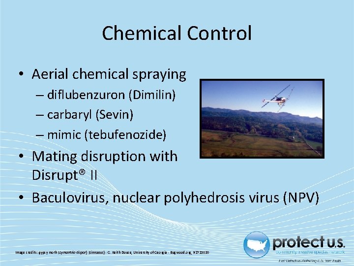 Chemical Control • Aerial chemical spraying – diflubenzuron (Dimilin) – carbaryl (Sevin) – mimic