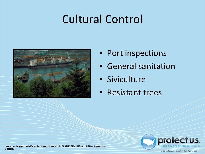 Cultural Control • • Image credits: gypsy moth (Lymantria dispar) (Linnaeus) - USDA APHIS