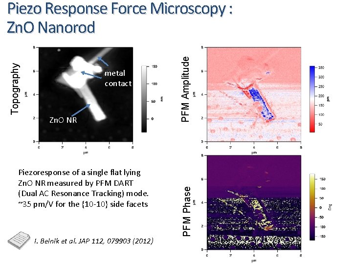 Zn. O NR Piezoresponse of a single flat lying Zn. O NR measured by