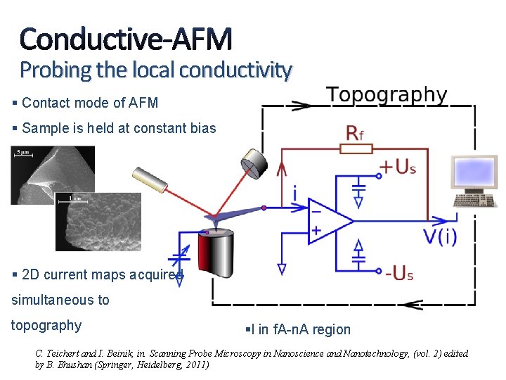 Conductive-AFM Probing the local conductivity § Contact mode of AFM § Sample is held