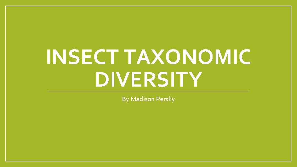 INSECT TAXONOMIC DIVERSITY By Madison Persky 