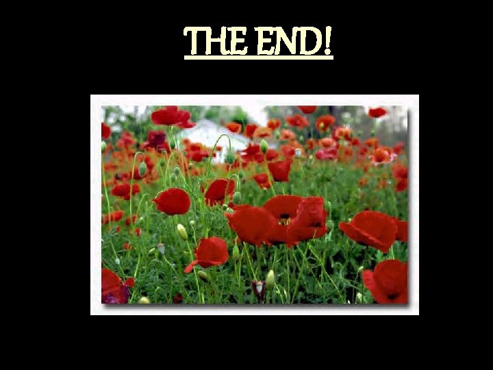 THE END! 
