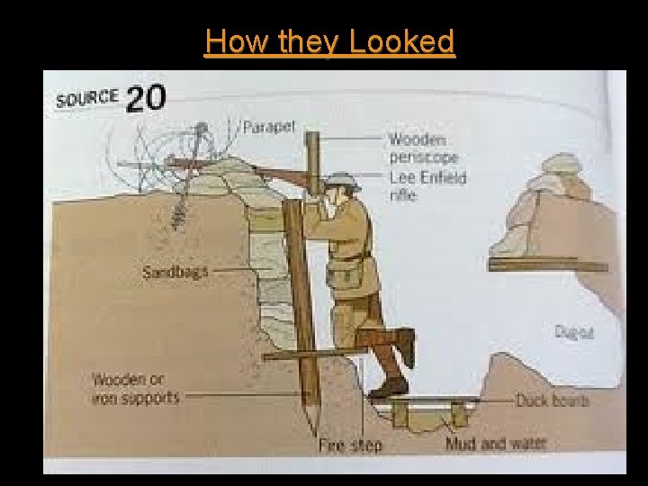 How they Looked Trench formation 