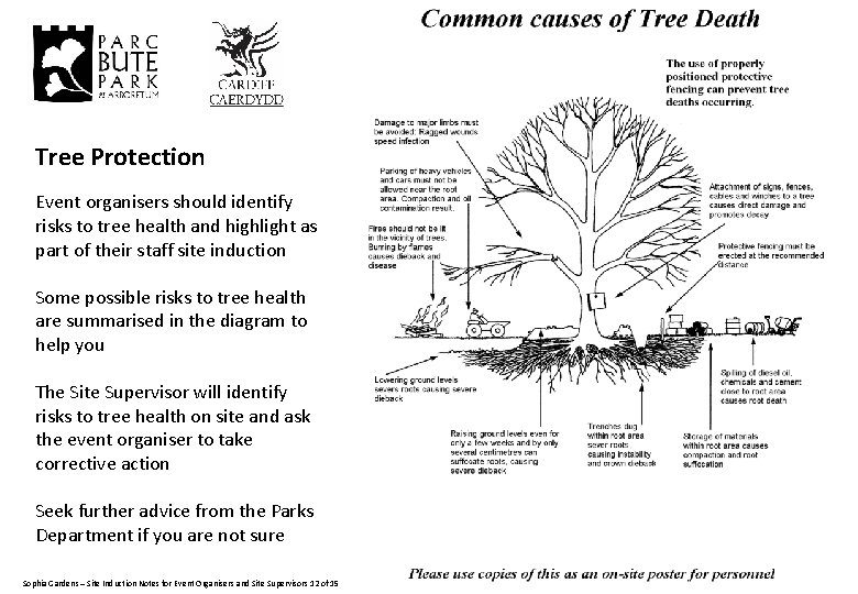 Tree Protection Event organisers should identify risks to tree health and highlight as part