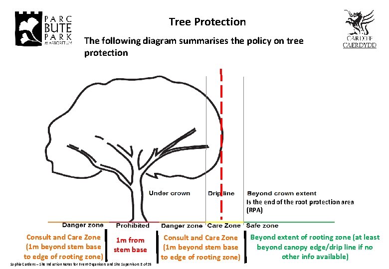 Tree Protection The following diagram summarises the policy on tree protection Is the end