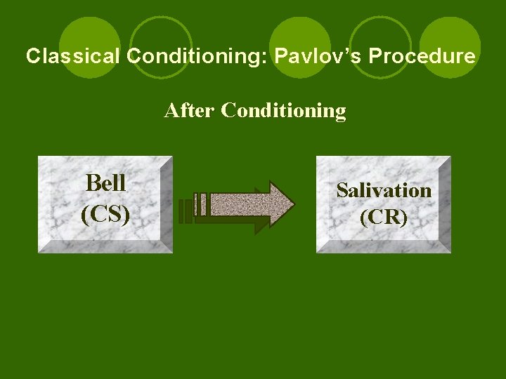 Classical Conditioning: Pavlov’s Procedure After Conditioning Bell (CS) Salivation (CR) 