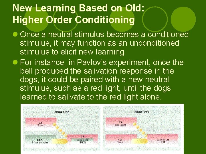 New Learning Based on Old: Higher Order Conditioning l Once a neutral stimulus becomes