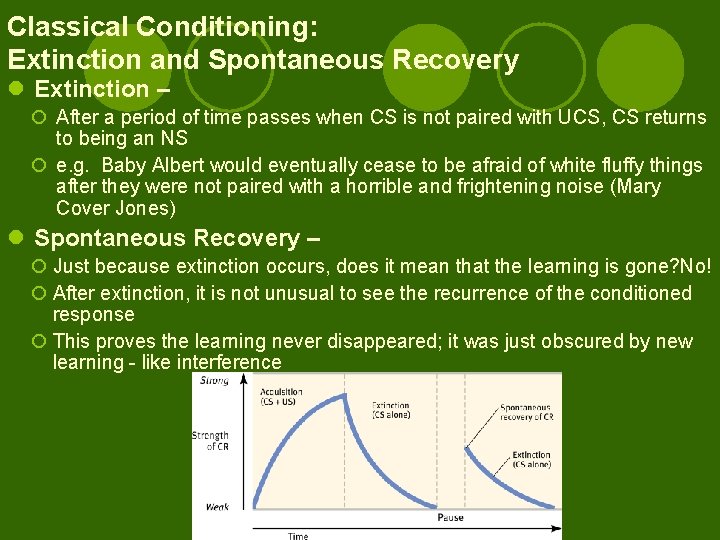 Classical Conditioning: Extinction and Spontaneous Recovery l Extinction – ¡ After a period of