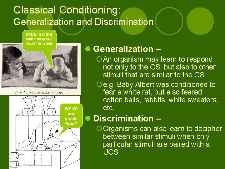 Classical Conditioning: Generalization and Discrimination DUDE! Get that white furry evil away from me!