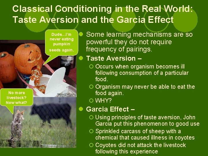 Classical Conditioning in the Real World: Taste Aversion and the Garcia Effect Dude…I’m never