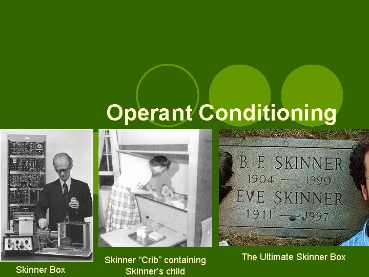 Operant Conditioning Skinner Box Skinner “Crib” containing Skinner’s child The Ultimate Skinner Box 